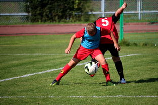 中国足球俱乐部管理团队的专业化与运营效率提升，足球俱乐部管理架构