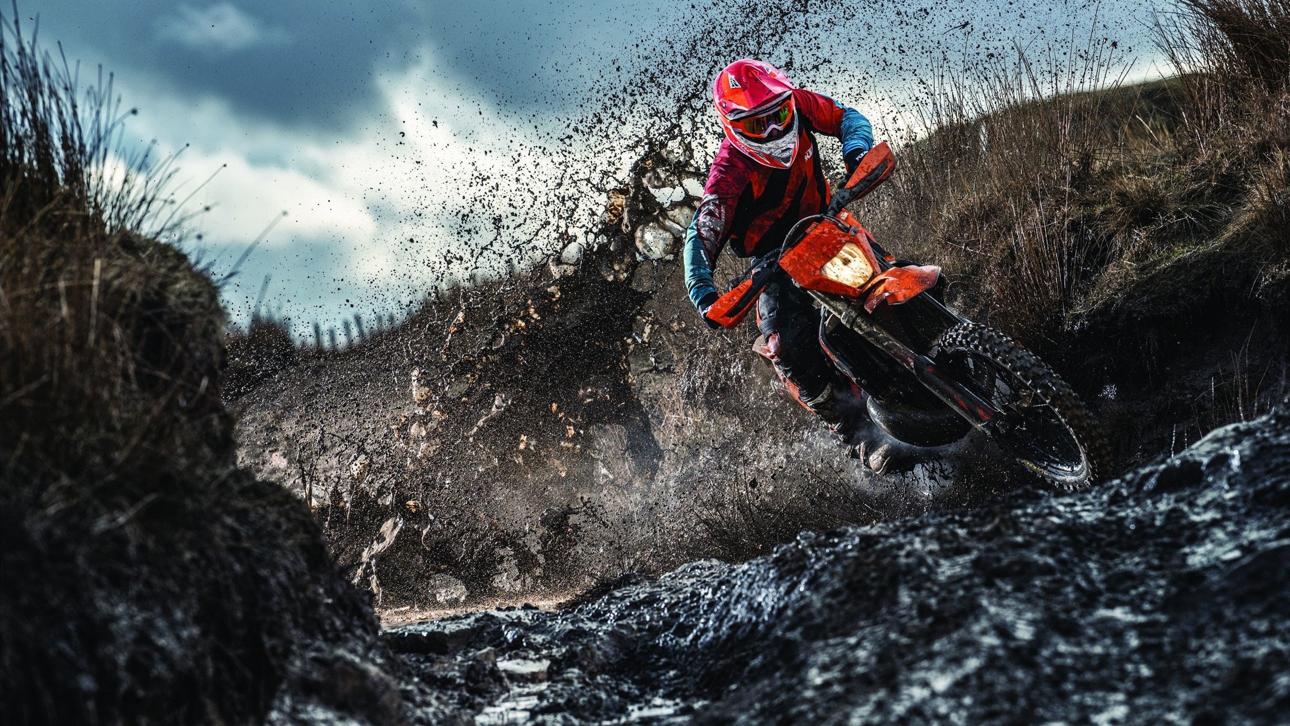 新闻中心专题呈现研发团队阶段性成就持续优化用户体验，研发团队打造